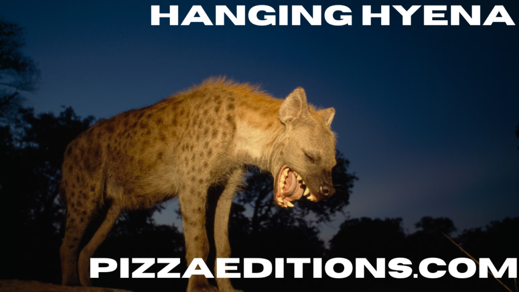 hanging hyena